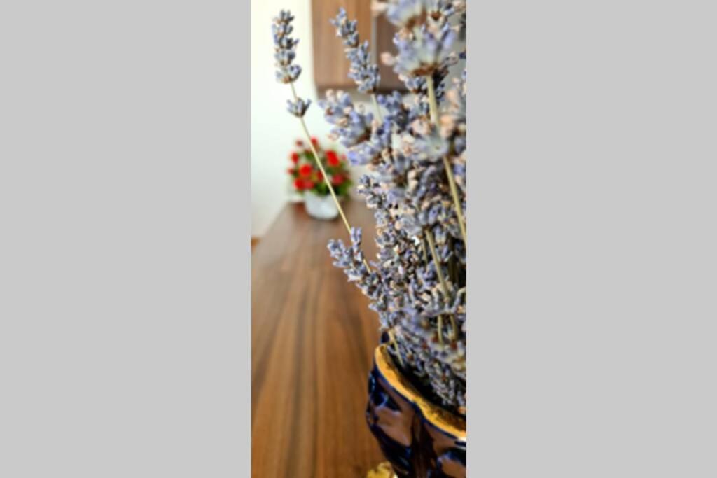 Mitros Apartment มาลินสกา ภายนอก รูปภาพ